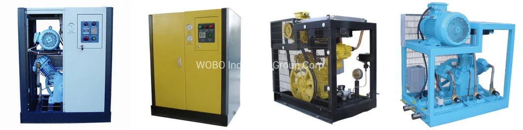 Long Service Life Portable Compressed Oil&Gas Plant for Power Plants