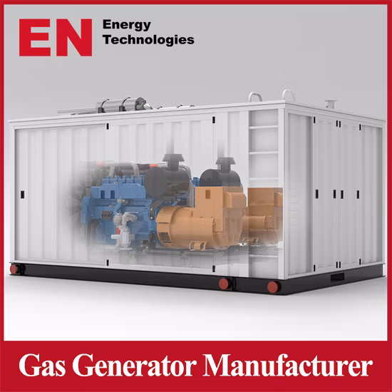 Conjunto de generador de energía de vapor de carbón de madera de biomasa de alta calidad para la desinfección de alimentos