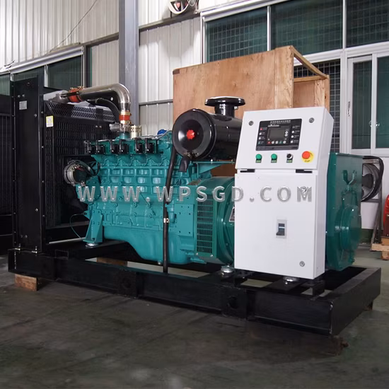 Fabricante de generadores de China Grupo electrógeno de gas natural Planta de energía